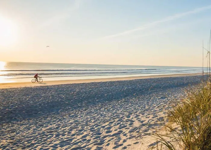 With Terrace And Parking Apartment *